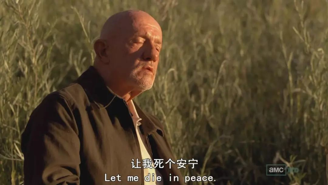 熟悉《绝命毒师》的朋友们恐怕早已发现,在此番对话发生不久,老麦就死