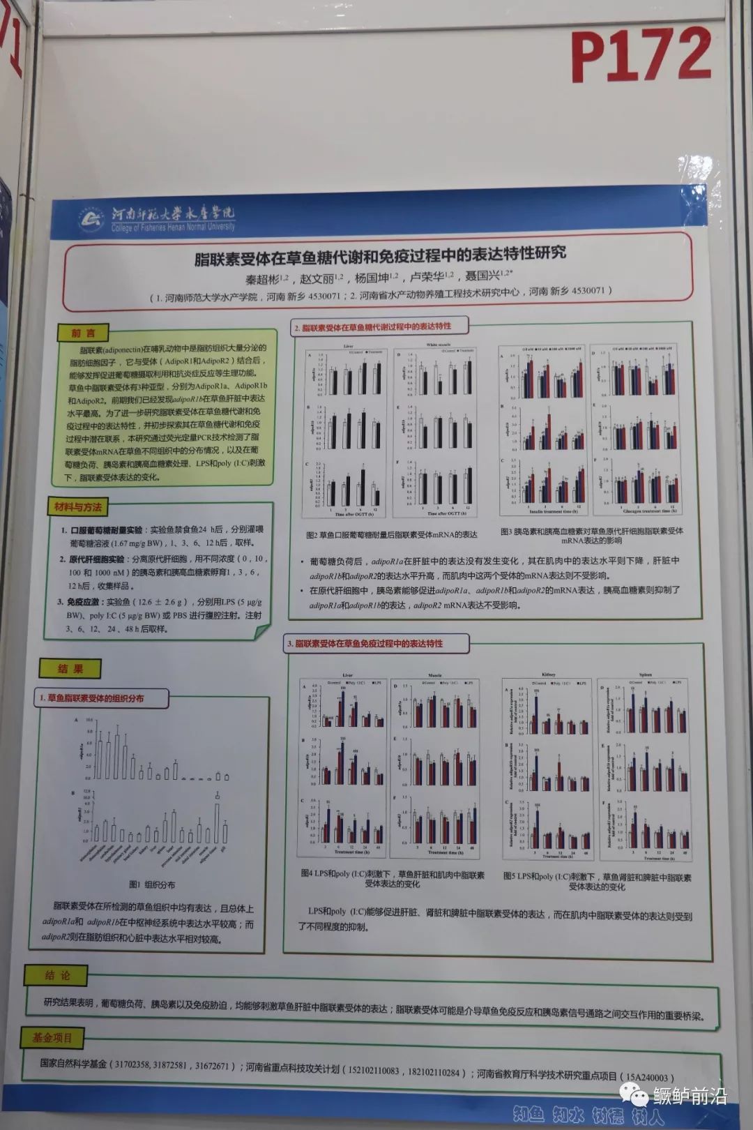 论文墙报模板图片