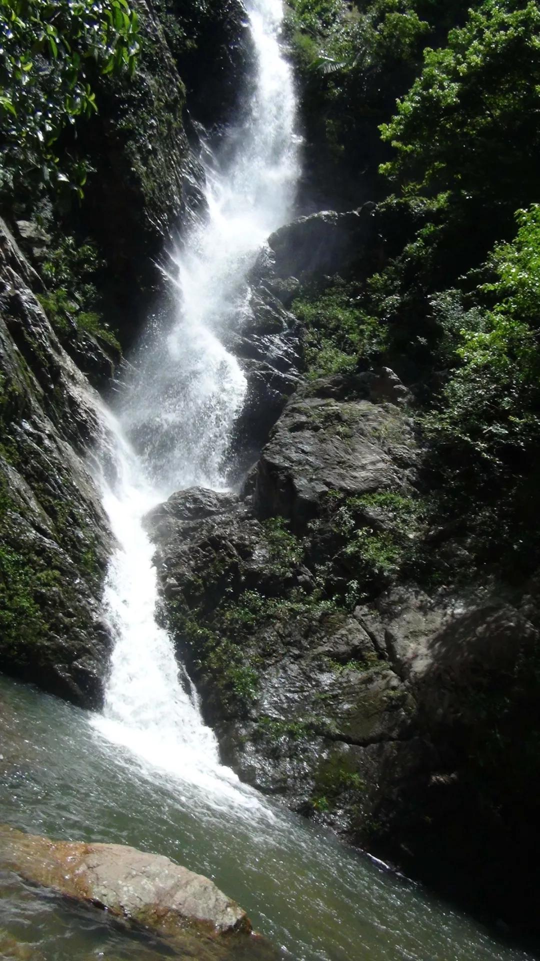 海宿会:参会推荐|白沙县邦溪付俄岭森林生态旅游度假区_康养