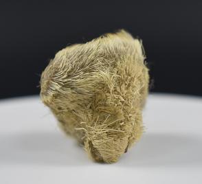 麝香到底是什么?