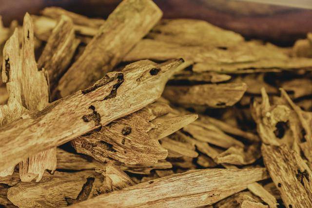 莞香是一种珍贵的沉香,因为东莞的气候和环境非常适宜白木香树种植