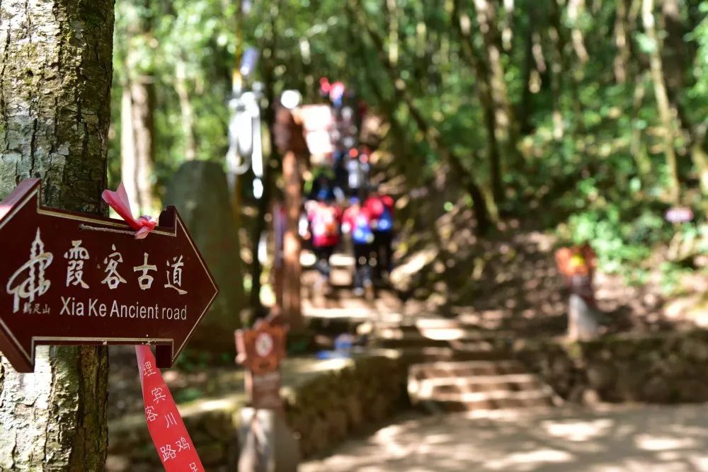 重走霞客路鸡足灵山行中国大理宾川鸡足山第三届越野跑大赛圆满举办