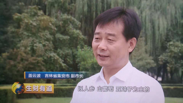 吉林省集安市副市长盖云波告诉记者,到目前为止,以人参,山葡萄,白桃等