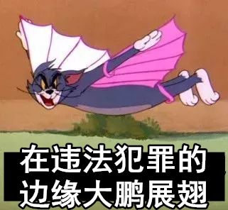 出租这个二维码就能躺着赚钱你已在犯罪的边缘大鹏展翅