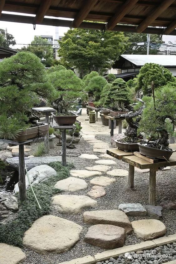 建个庭院工作室卖花卖草卖盆景