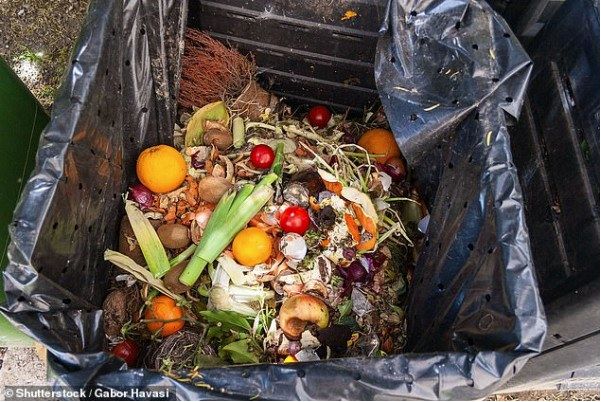 《每日邮报》)今日世界粮食日发布的数据显示,澳大利亚每年食物浪费的
