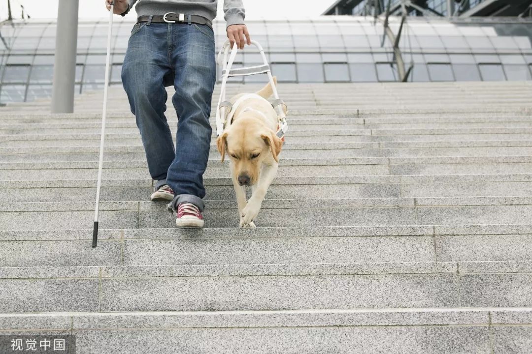 国际盲人节为盲人的世界照进一束光