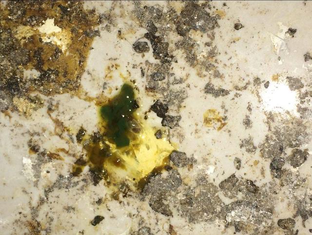 养鸡实用文正常的鸡粪是什么样异常的鸡粪预示着什么鸡病