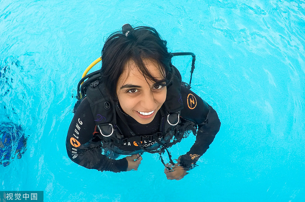 大群蝠鲼聚集墨西哥海域 体型巨大泳姿曼妙