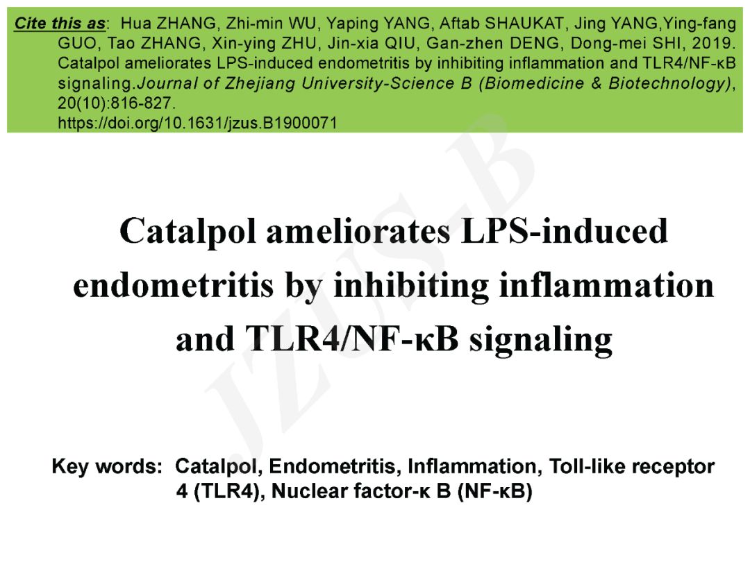 华中农业大学石冬梅等梓醇通过抑制炎症反应和tlr4nfκb