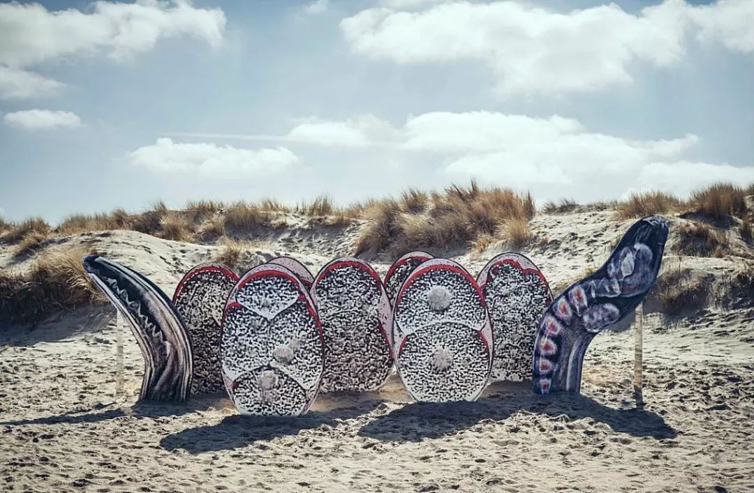 oopcolumnvol9生物形态美学