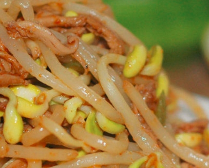 二,豆芽鸭丝主料:黄豆芽适量 鸭肉适量 青椒适量 大葱适量 姜适量制作