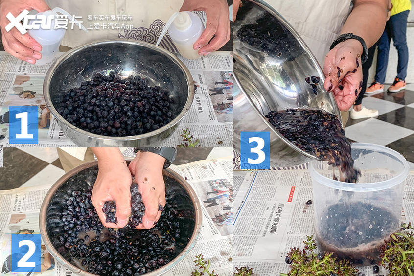 充分释放葡萄内的糖分;将捣碎后的葡萄连同葡萄籽葡萄皮一同放入容器