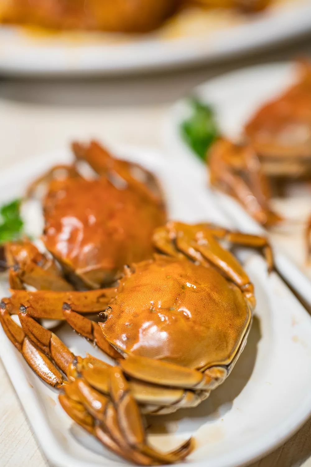 五人同行一人免单这家19年自助火锅金秋蟹宴来了