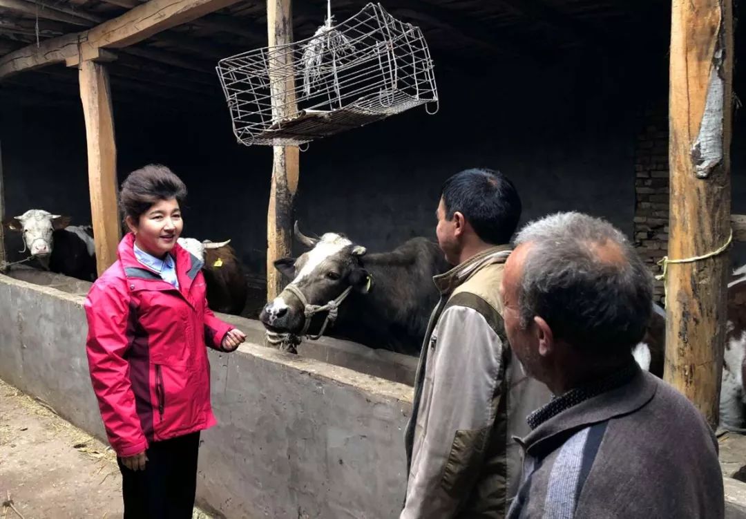 精准发力 决胜小康 |67 迪力努尔·艾则孜:用绵绵真情捂热民心