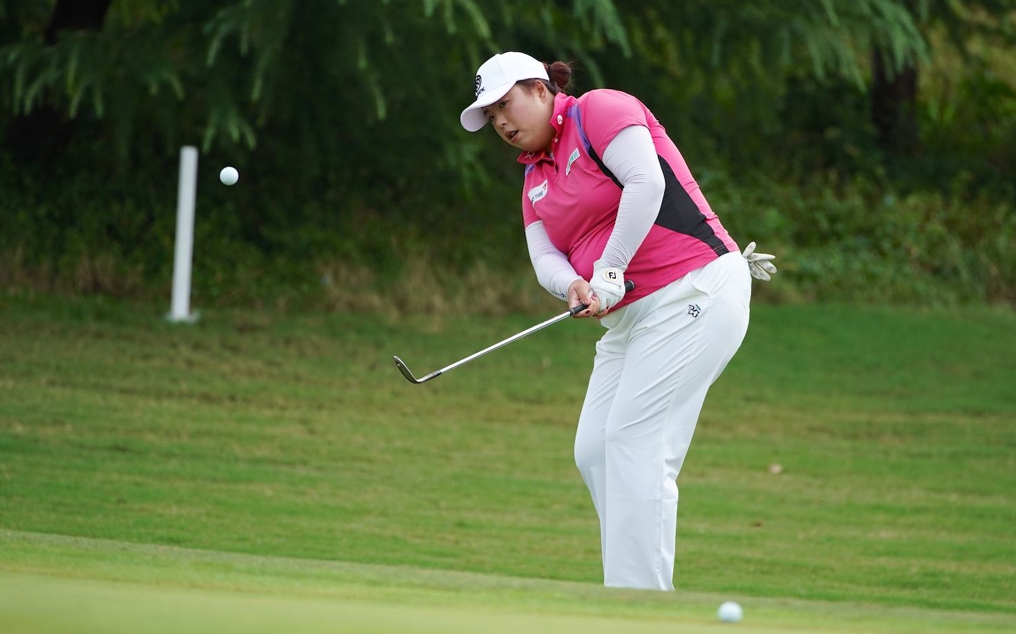 冯珊珊本赛季为何状态回勇她换了一套新球杆