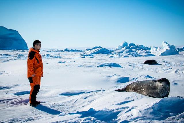南极石化了真人照片图片