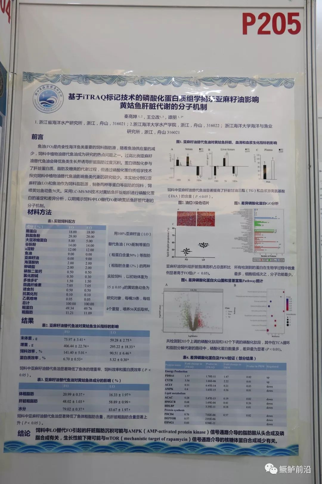 论文墙报模板图片