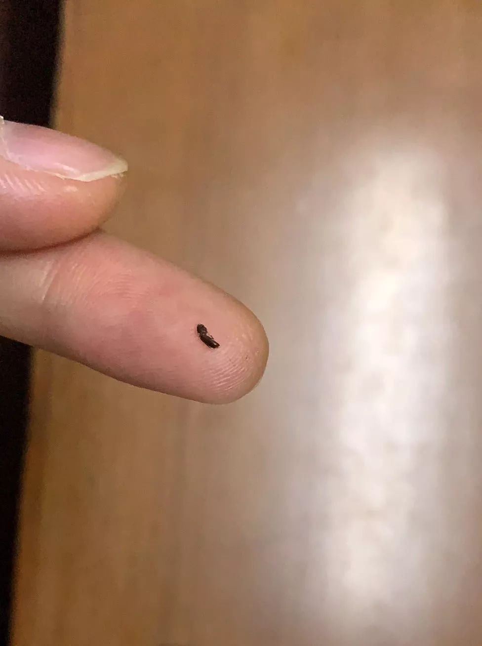 赣州一超市卖有料的莲子执法人员10倍赔