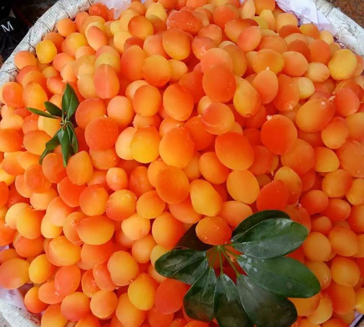 市面上这两种水果大多是人工合成,要谨慎_金西梅