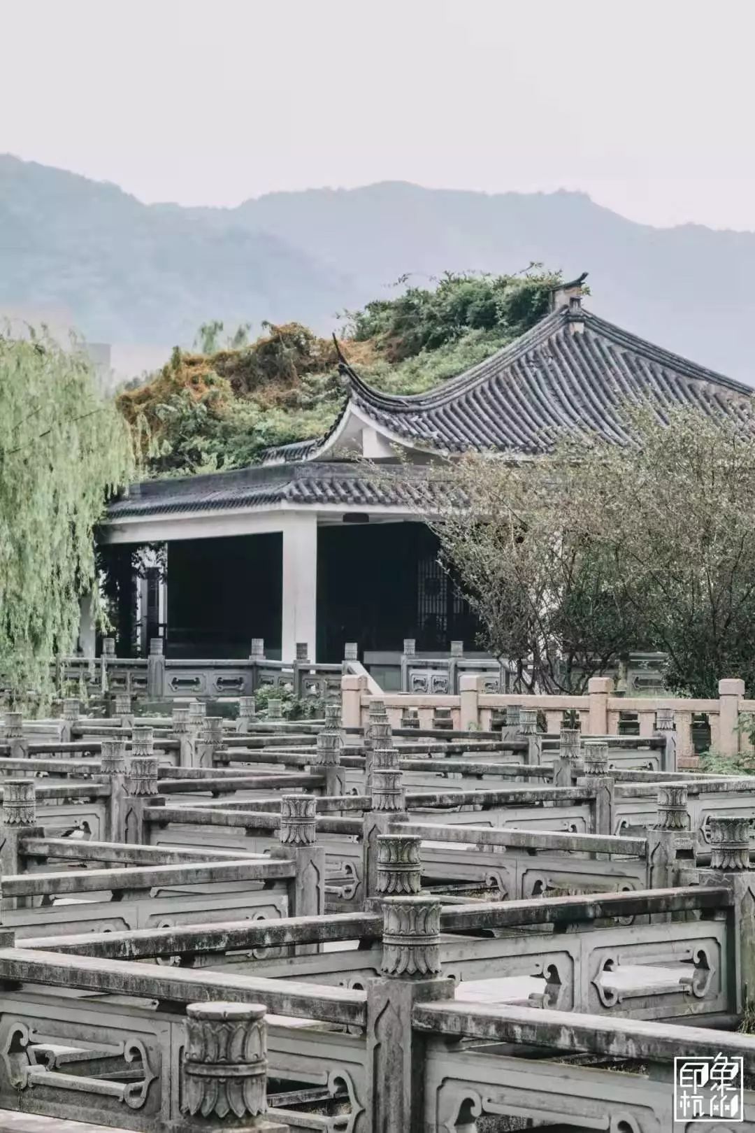 的荷花远处就是绵延起伏的小和山宽阔的水面倒映出两岸荫绿微风轻拂