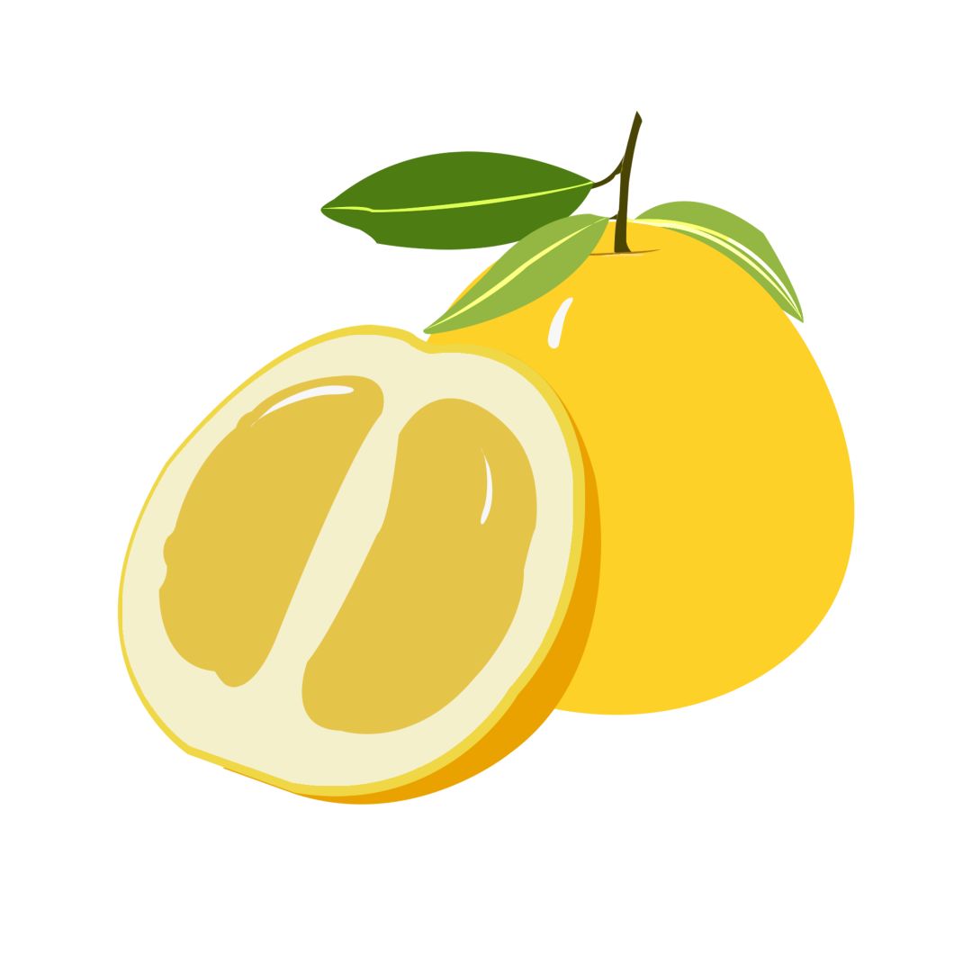 秋季水果大比拼祛火润燥你选哪个