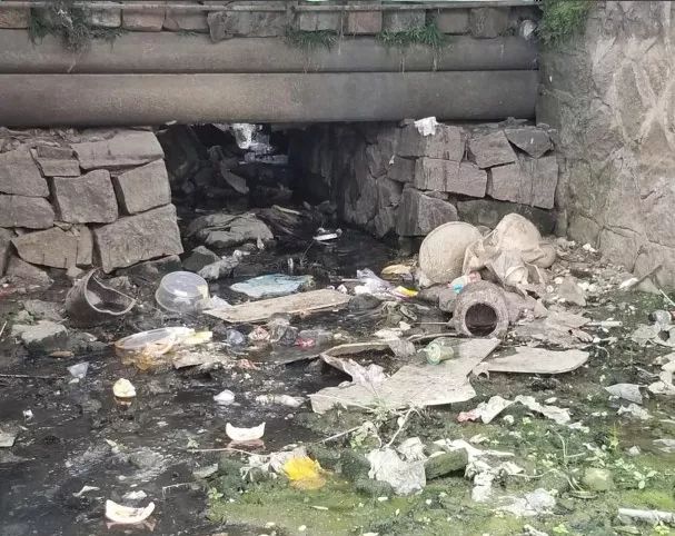 龙港金乡钱库灵溪这9个地方被曝光太脏了