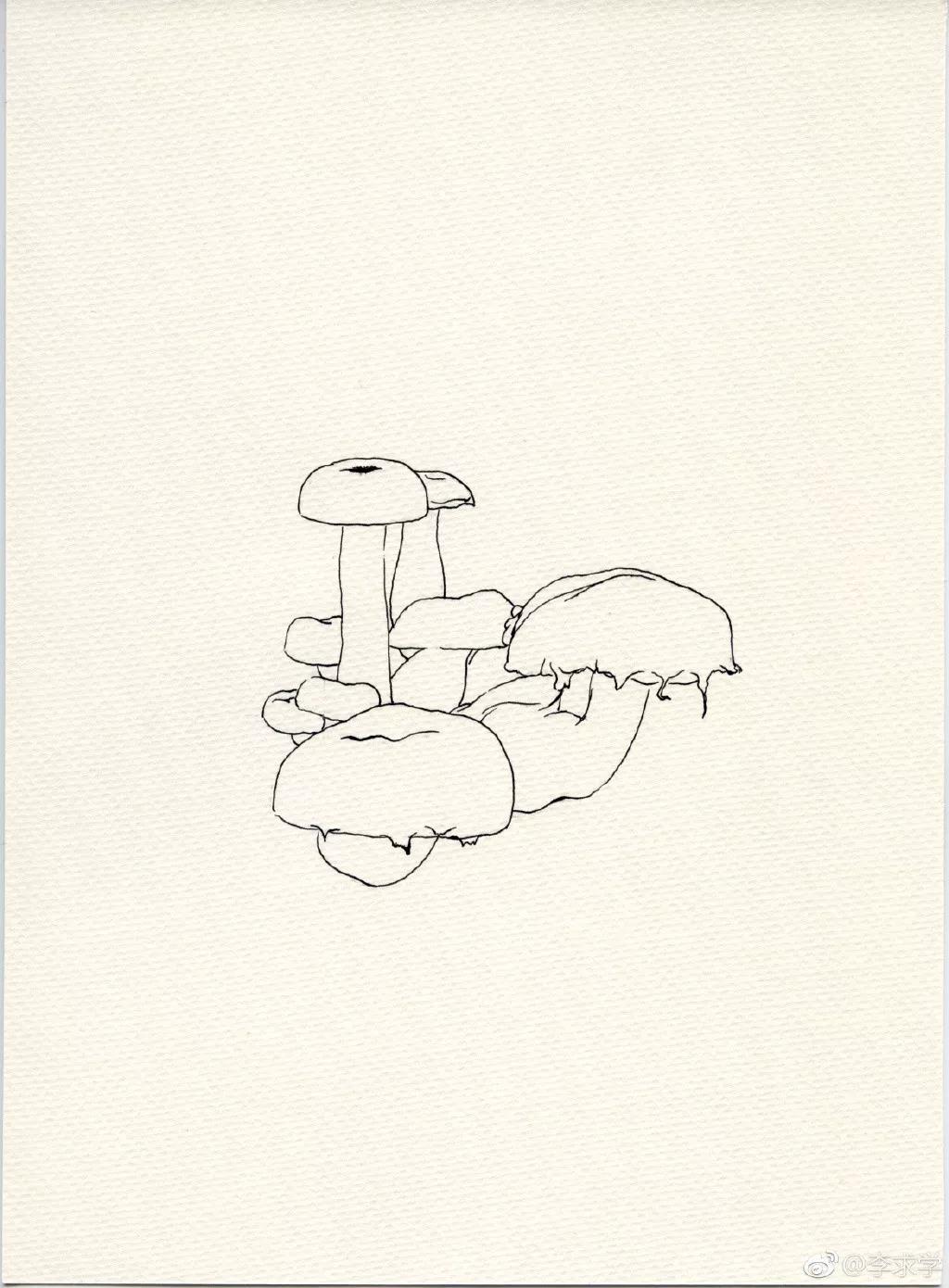 一看就会的极简钢笔画合集七六屿成人画室整理干货