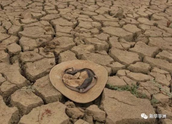以及经济形势恶化导致化肥进口不足,该国面临严重的粮食短缺