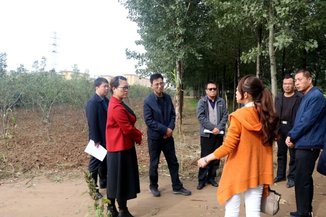 副县长王改现场办公,推进合阳供水项目建设