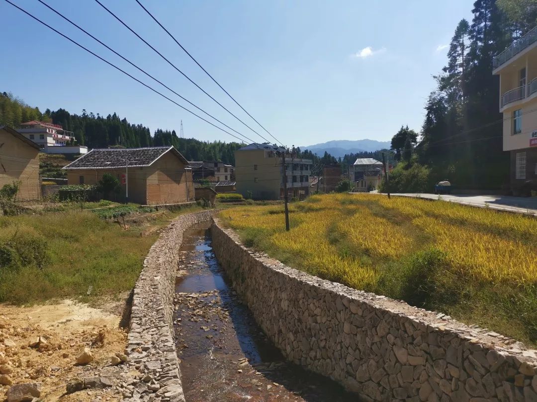 周宁龙住院村打造美丽河道,助力乡村振兴!