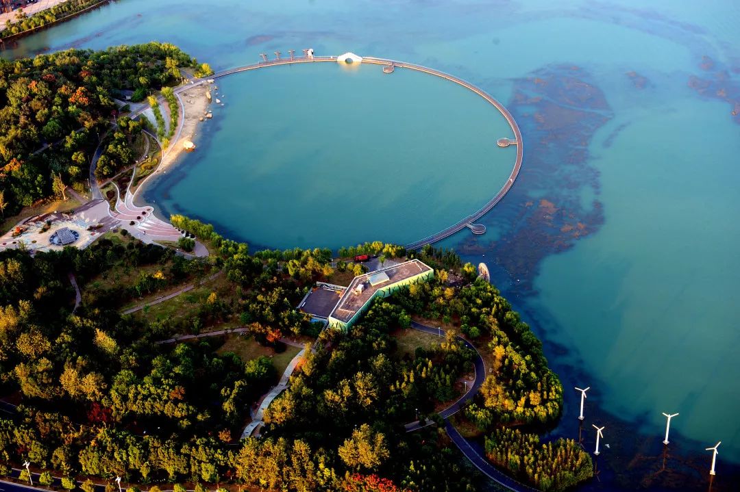 张家港凤凰湖湿地公园图片