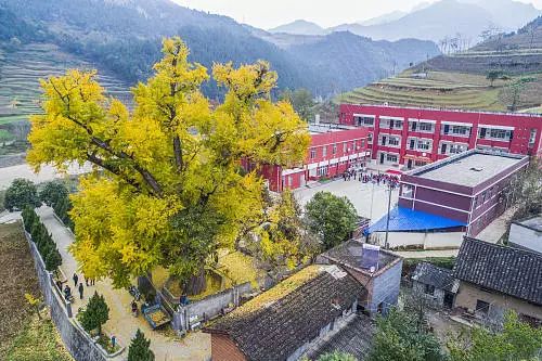 嘉陵奔流,山乡奋进,略阳这70年_白水江镇