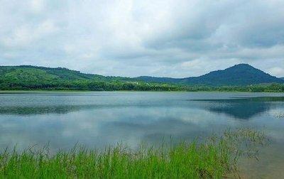 東方縣大田坡鹿保護區海南地處熱帶季風性氣候區,擁有得天獨厚的動