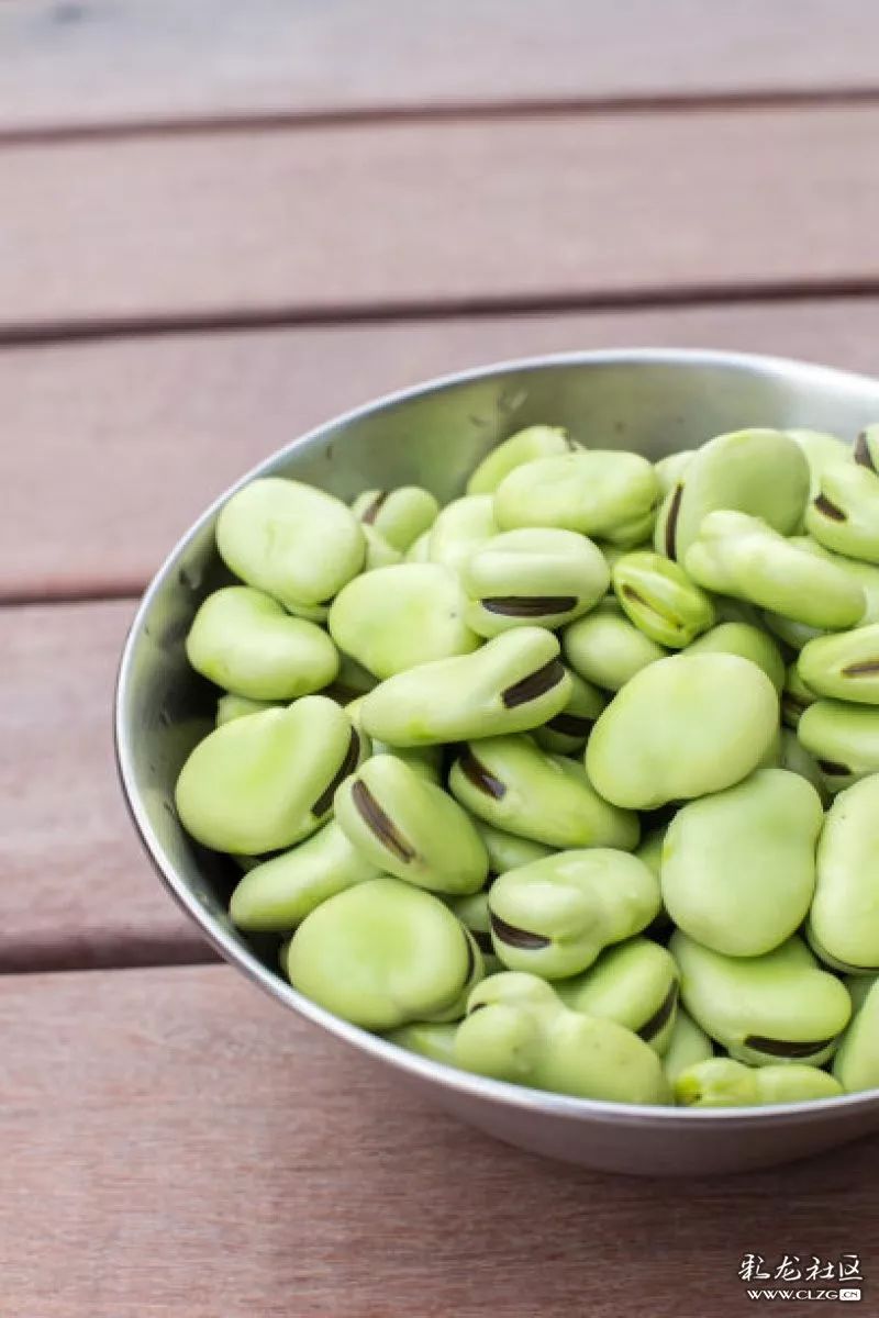 一颗小小的蚕豆,却也是"思乡的蛊惑"