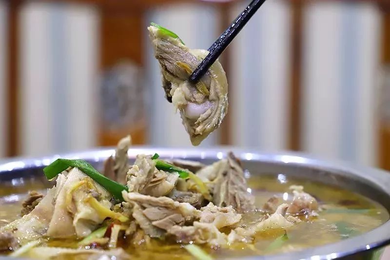 金湖惊现鹅火锅这家老板说吃鹅肉火锅喝酒不要钱