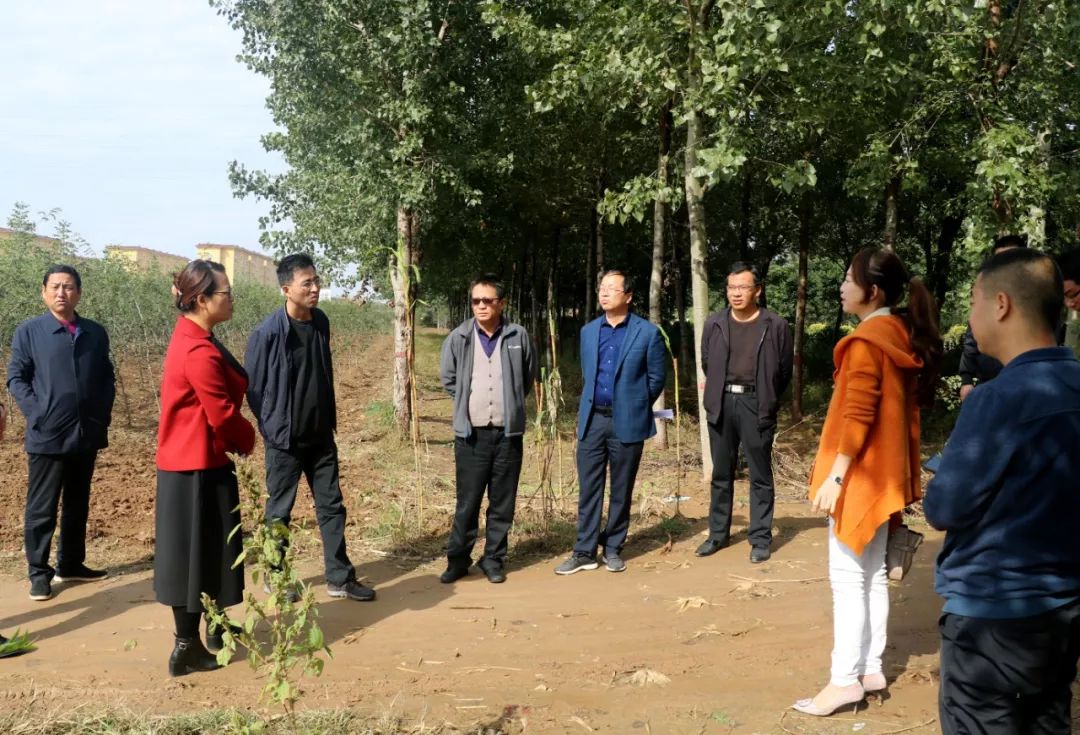 副县长王改现场办公,推进合阳供水项目建设