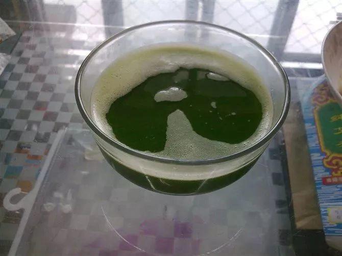 养花招虫子用这3种蔬菜自制杀虫剂虫子靠边站