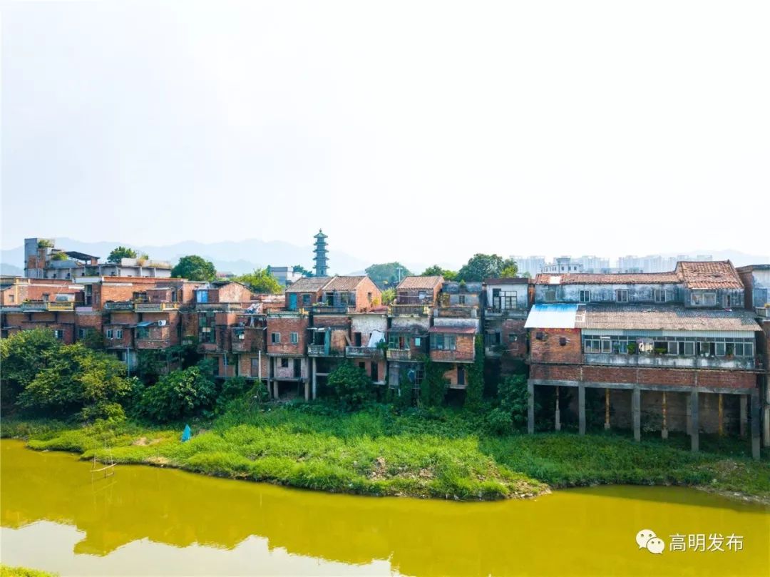 照片征集展示这些惊艳时光的照片写着高明人最柔软的故事