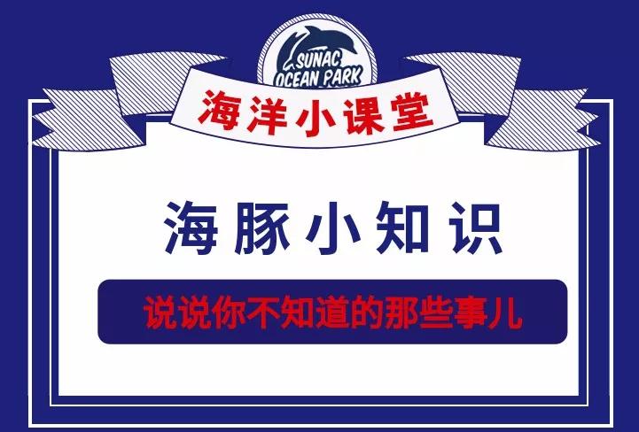 活泼可爱的海豚大家都不陌生了吧融仔海洋知识小课堂开课啦!