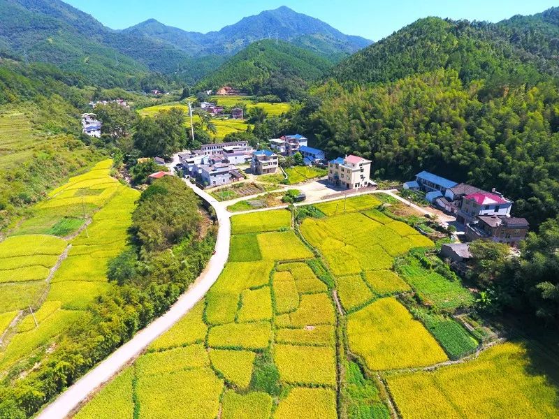 闽西革命基点村巡礼48上杭大连村昔日扩红支前今朝增收致富