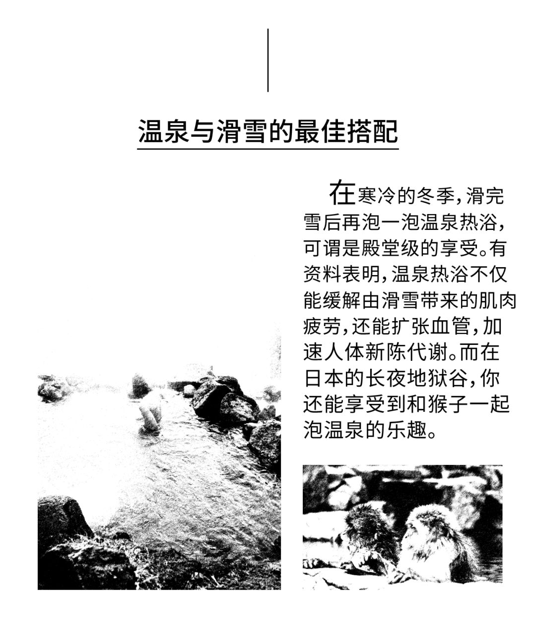 与"滑"无关 | 你不需要知道这些茶余饭后的谈资