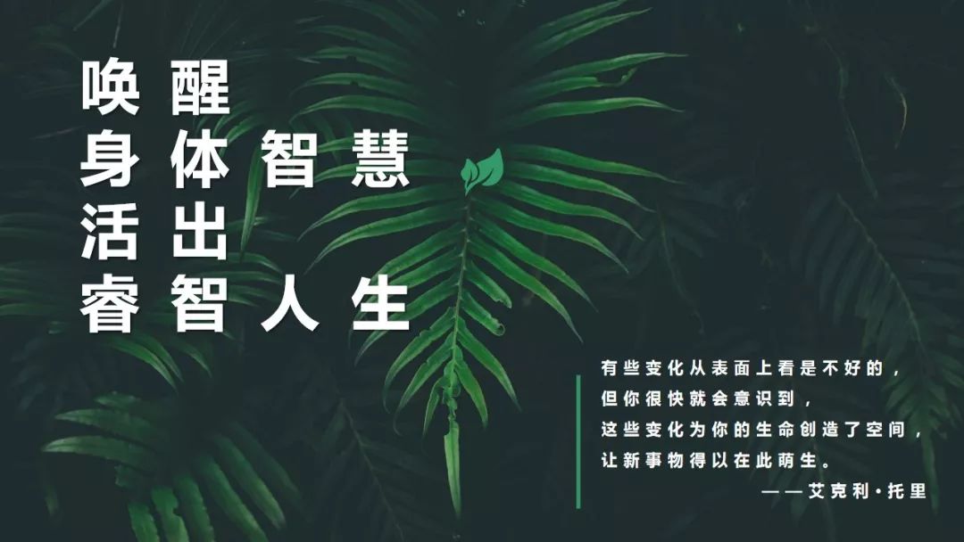 睿智人生20192020年课程优惠套餐仅限101617身体大会期间