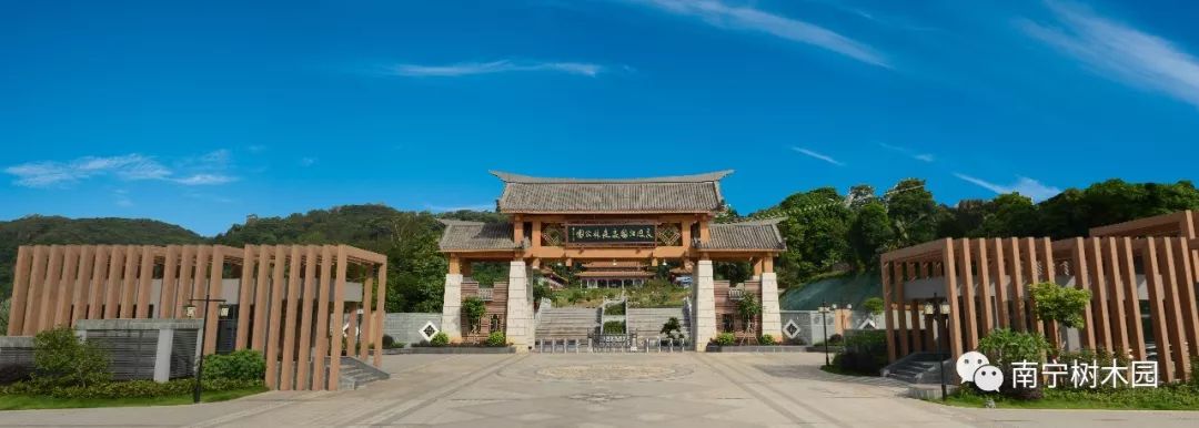 南宁树木园40年巨变演绎春天的故事