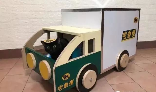 主人给黑猫打造一台专属猫车还能秒变移动宅急便所