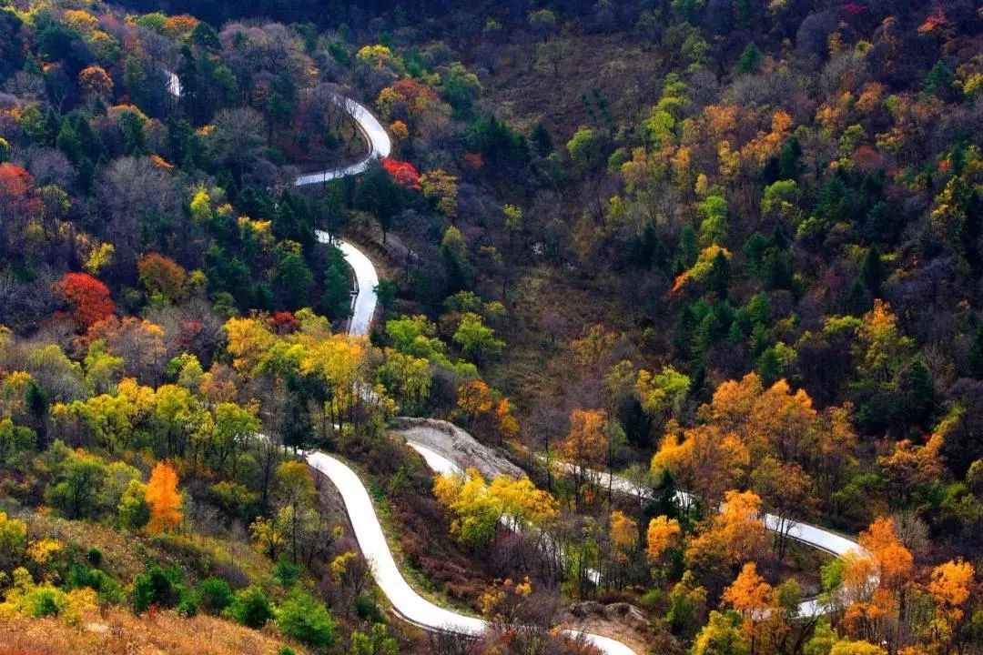 汉中风景路图片