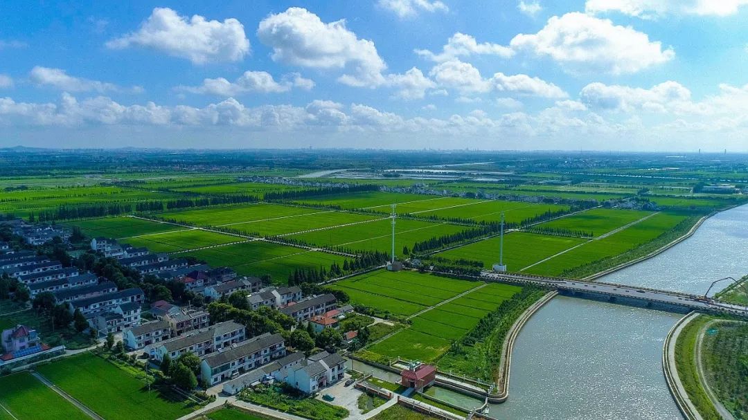 你最喜欢松江哪个街镇?一起来为ta打call!