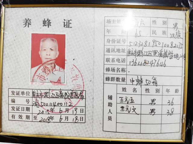 原创|"蜂王"王贞六的"甜蜜事业"_养蜂