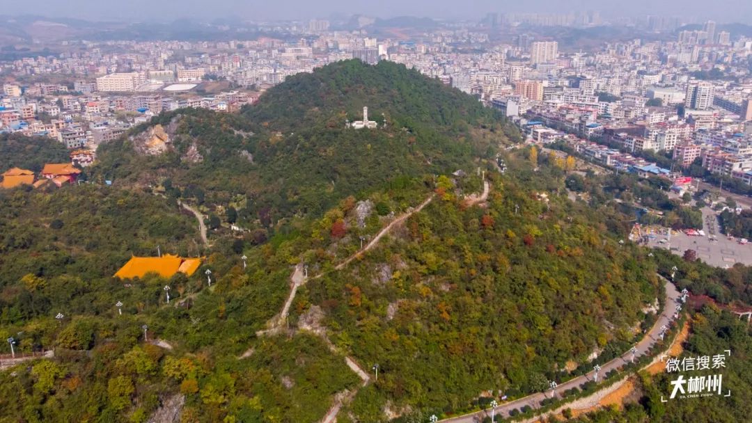 九老峰景区由9个山体组成,面积996亩,植被覆盖率达97%,森林覆盖率42%.