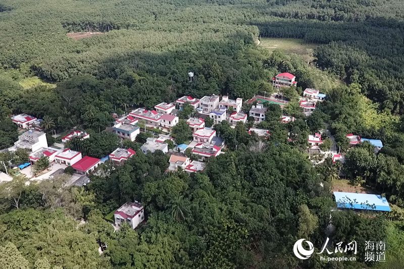 "摘帽后因才制宜成立建筑公司防返贫"地点:海南白沙打安村自从走马